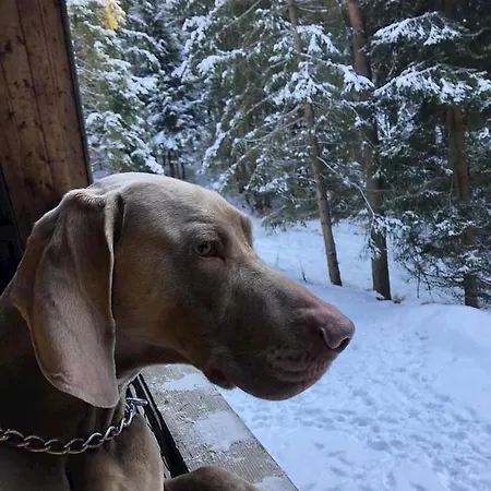 V Lese Chalet Ruzomberok