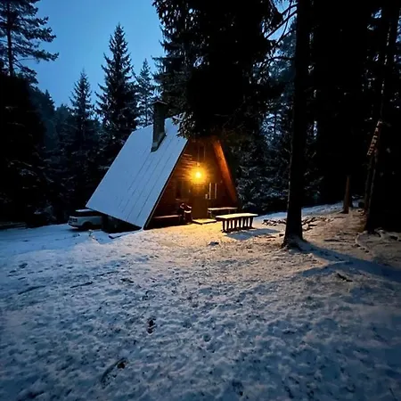 Domek alpejski V Lese *