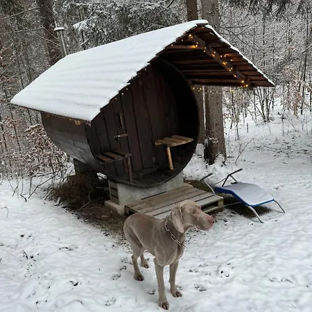 V Lese Alpehytte Ruzomberok