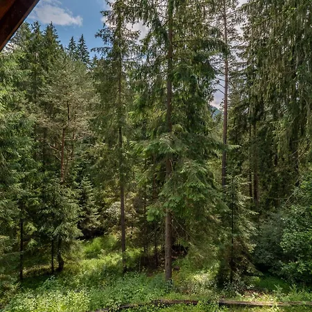 V Lese Domek alpejski Rużomberk